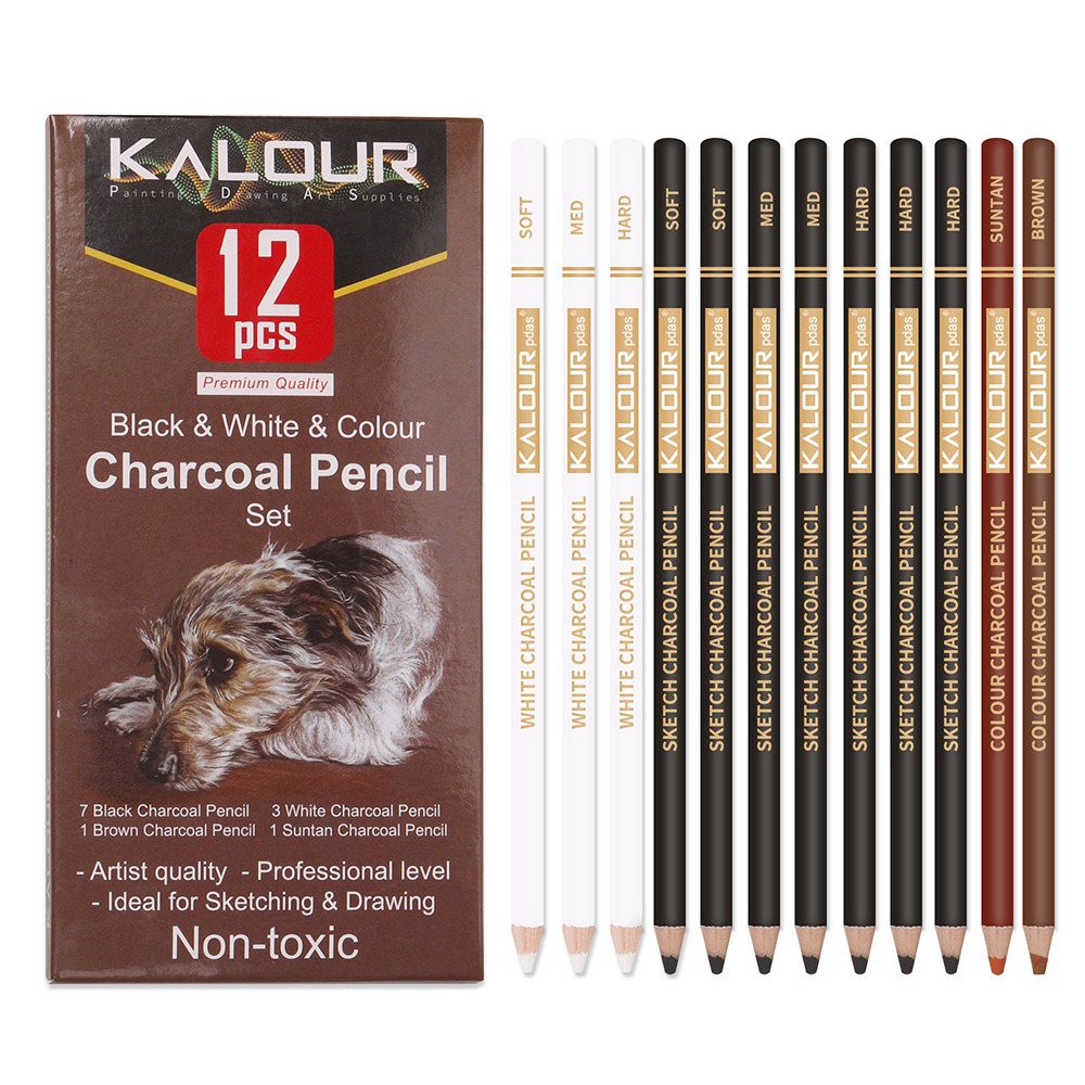 KALOUR Colored Charcoal Pencil - Chalk Pastel Set recensione e prezzo