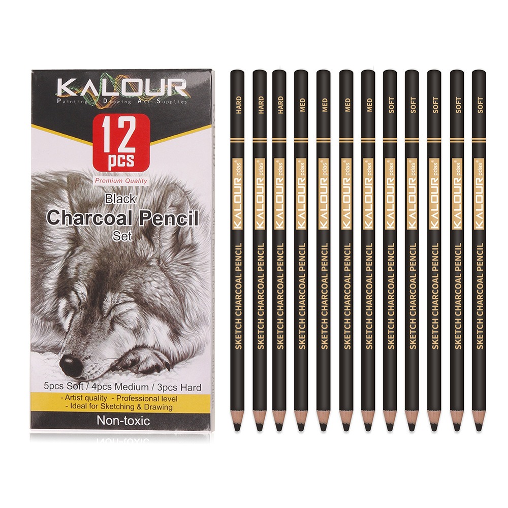 KALOUR Colored Charcoal Pencil - Chalk Pastel Set recensione e prezzo